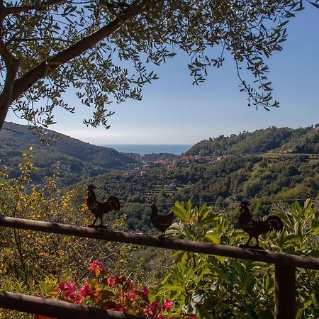Pietrantica - Affittacamere Con Giardino Nuova Apertura A Trebiano -Citr Екстериор снимка