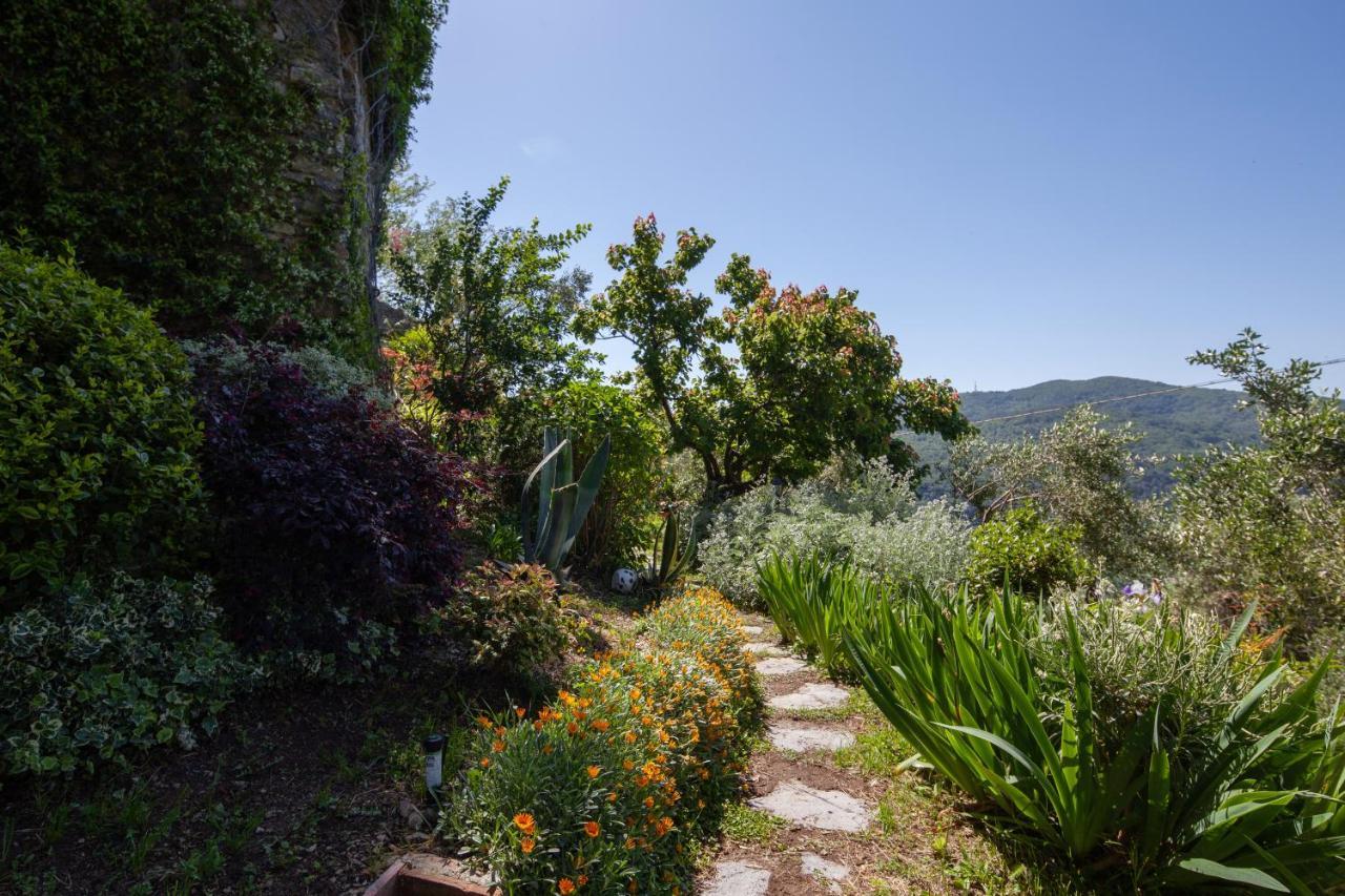Pietrantica - Affittacamere Con Giardino Nuova Apertura A Trebiano -Citr Екстериор снимка