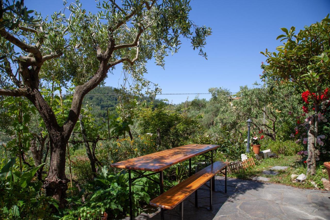 Pietrantica - Affittacamere Con Giardino Nuova Apertura A Trebiano -Citr Екстериор снимка